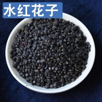 水红花子精选新货水红花子干净无杂质批发零售