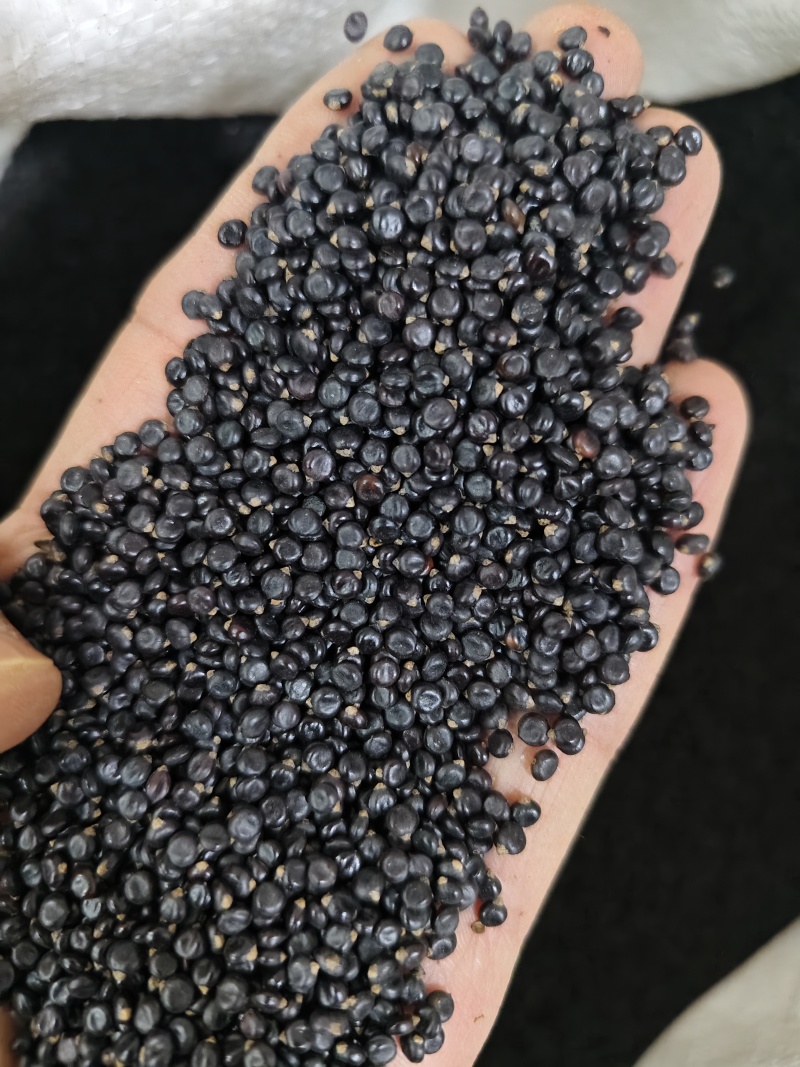 水红花子精选新货水红花子干净无杂质批发零售