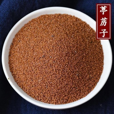 葶苈子精选新货葶苈子批发零售量大从优
