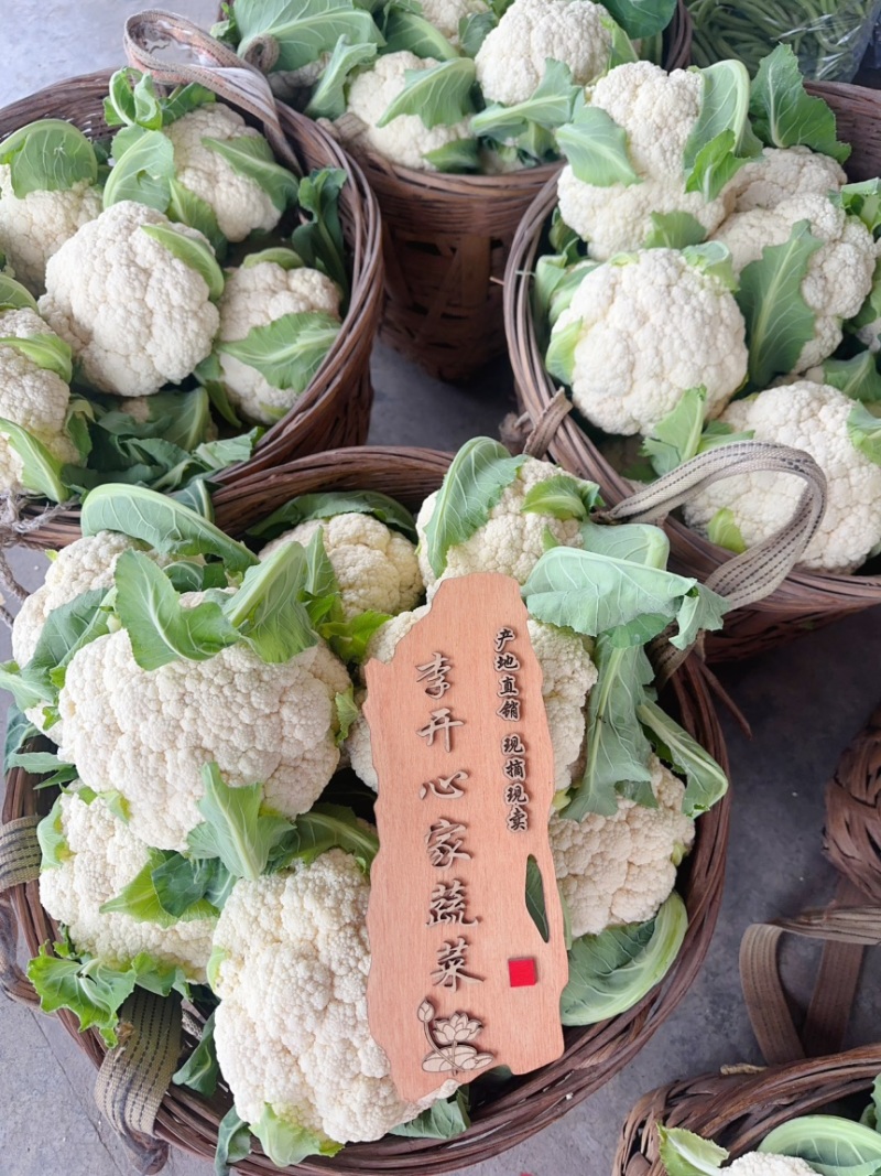 白面散花花菜价格爆跌机不可失每天现砍