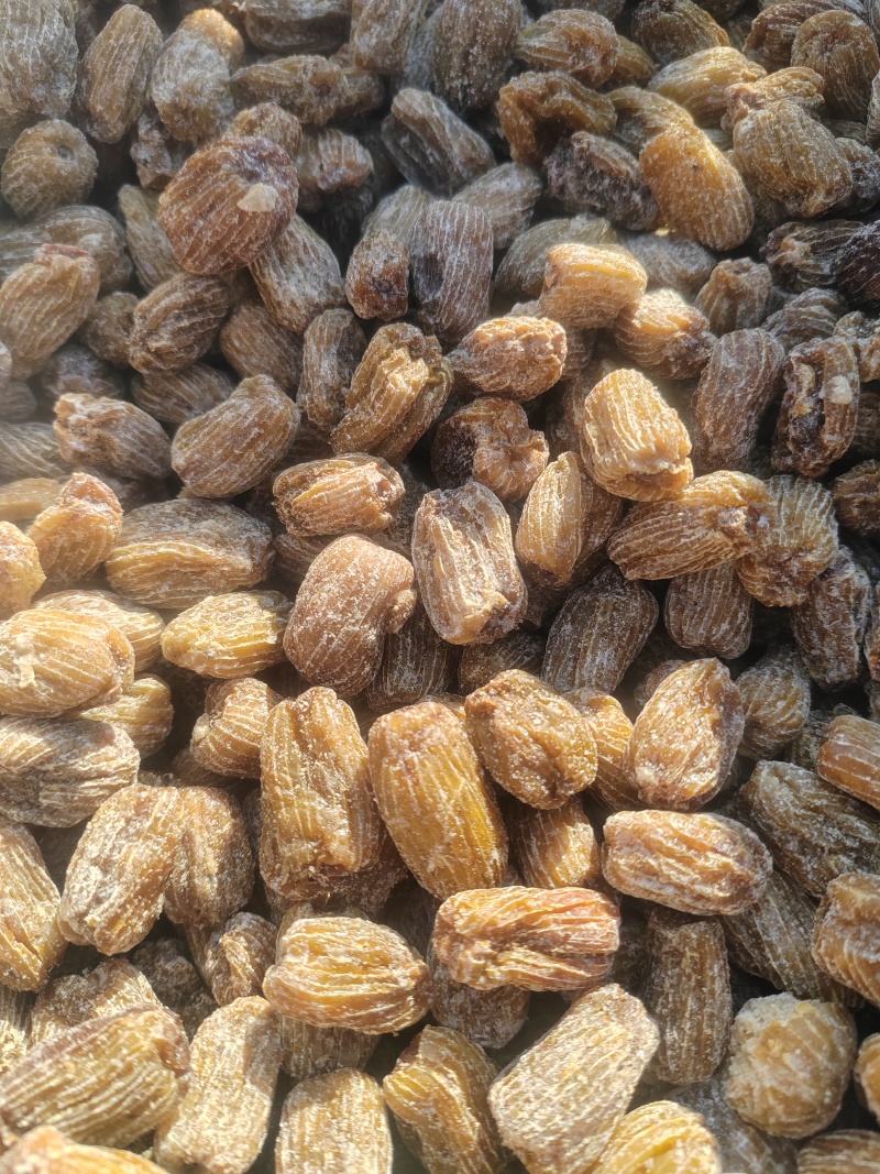 蜜枣，无核蜜枣有核干蜜枣电商专用整吨整车批发支持一件代发