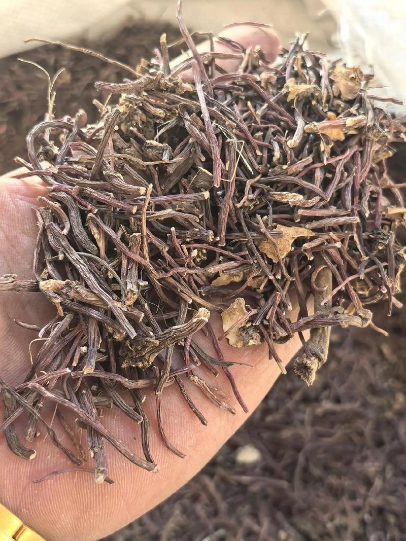 紫苑无硫中药材产地直发量大价优质量保证欢迎联系