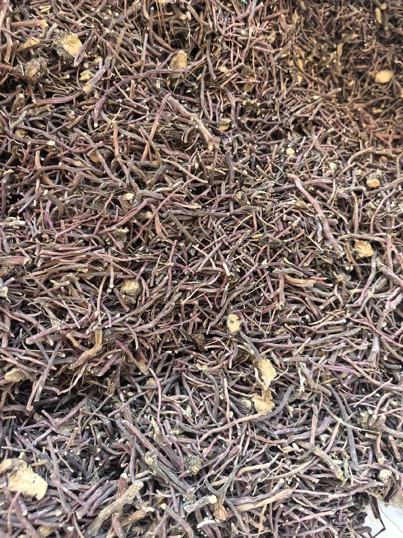 紫苑无硫中药材产地直发量大价优质量保证欢迎联系