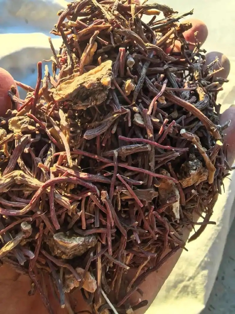 紫苑无硫中药材产地直发量大价优质量保证欢迎联系