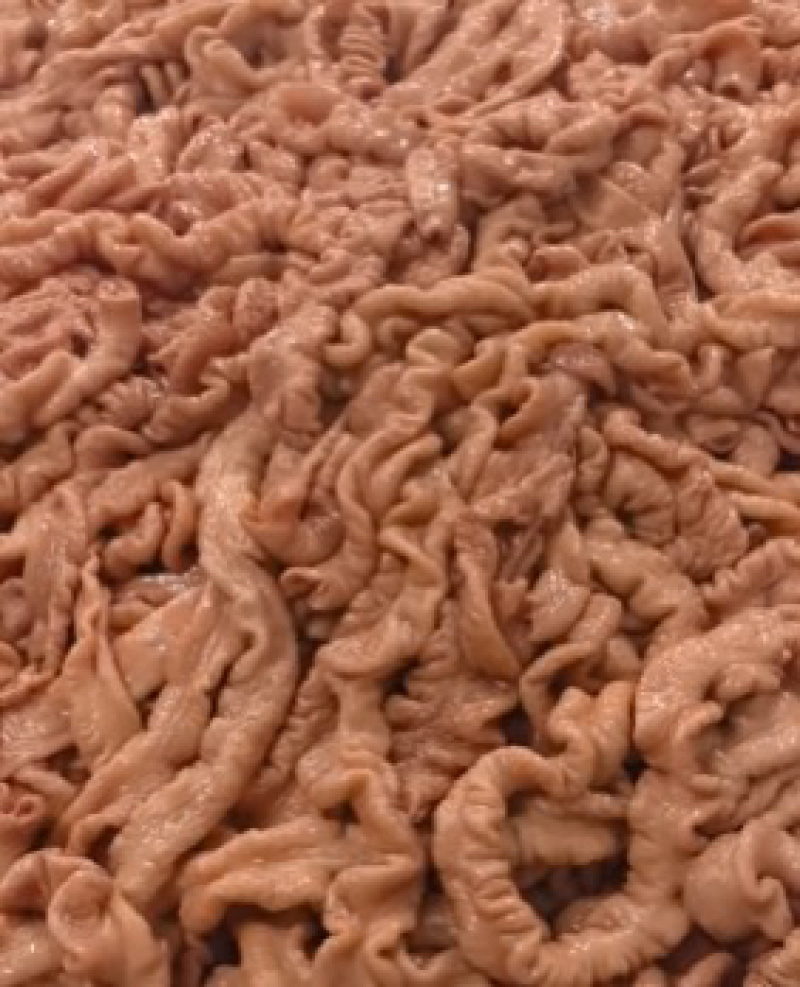 新鲜卤大肠，批发，大量有货，对接社区团购可按需求定包装