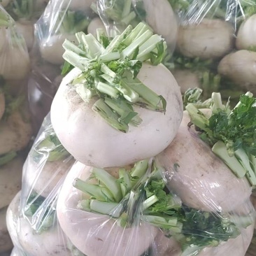 盘菜精品福建盘菜大量上市地头一手货源