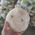 盘菜精品福建盘菜大量上市地头一手货源