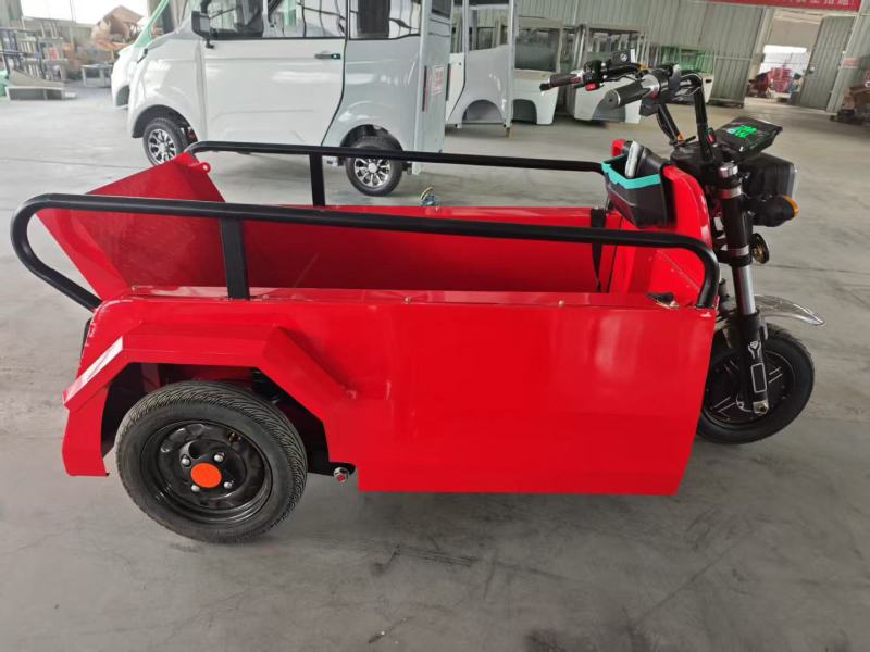 残疾人专用车，可以带电动轮椅的专用车，一辆也是批发价