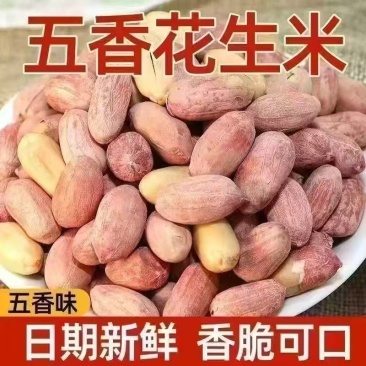 25年新花生五香花生米蒜香花生米多味花生批发