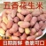 25年新花生五香花生米蒜香花生米多味花生批发
