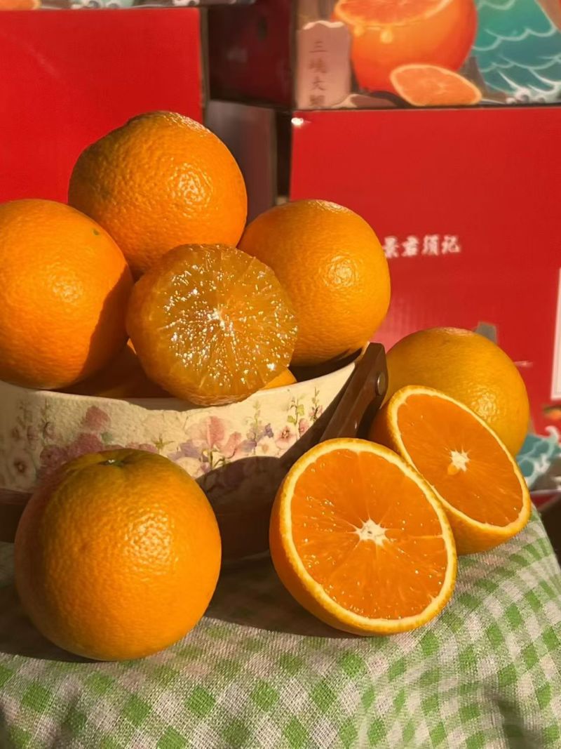 九月红脐橙品质保证货源充足诚信经营欢迎来电