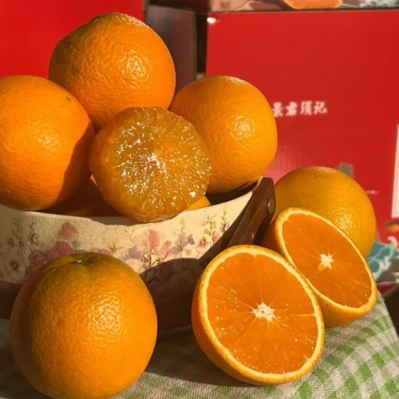 九月红脐橙品质保证货源充足诚信经营欢迎来电