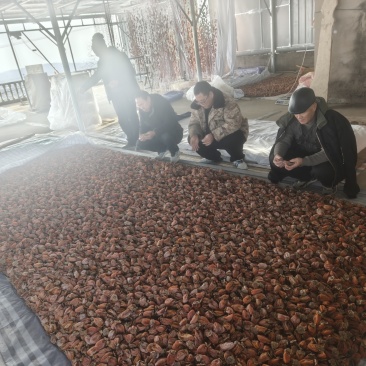富平柿饼