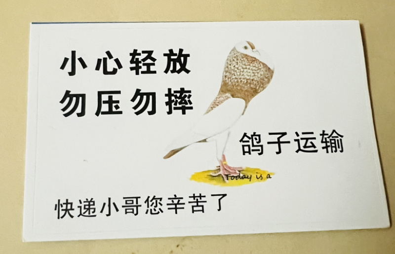 青岛快递活体代发，鸽子