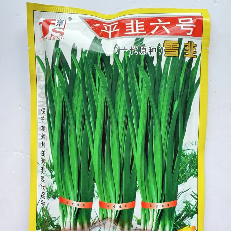 平韭六号韭菜种子一代原种分孽力强辛辣味浓耐热韭菜种子