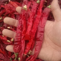 精品二荆条干辣椒一手货源质量保证产地地供供应欢迎咨询