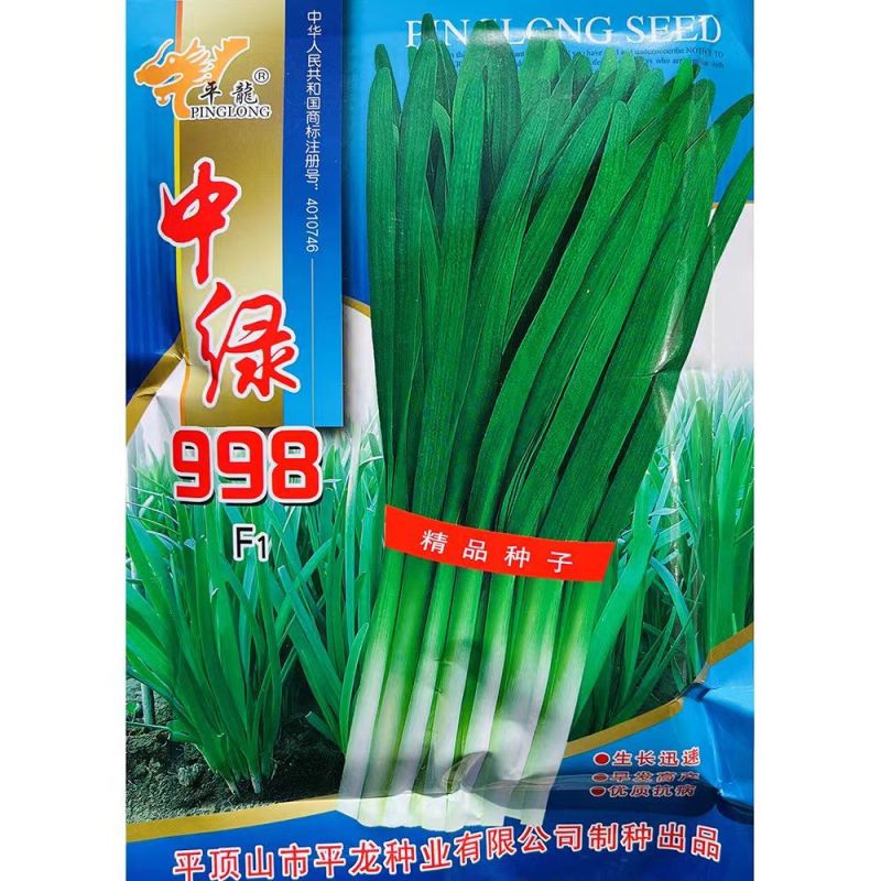 平龍中绿998韭菜种籽高产抗病冬季不休眠宽叶韭菜种孑四季