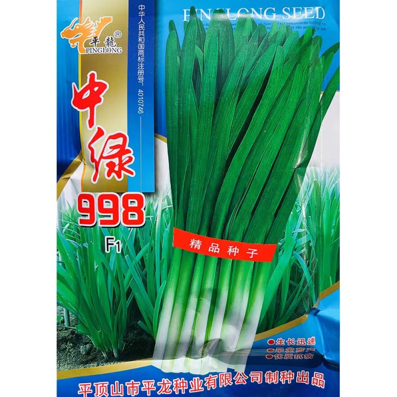 平龍中绿998韭菜种籽高产抗病冬季不休眠宽叶韭菜种孑四季