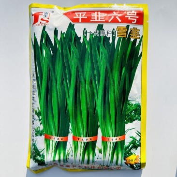 平韭六号韭菜种子一代原种分孽力强辛辣味浓耐热韭菜种子