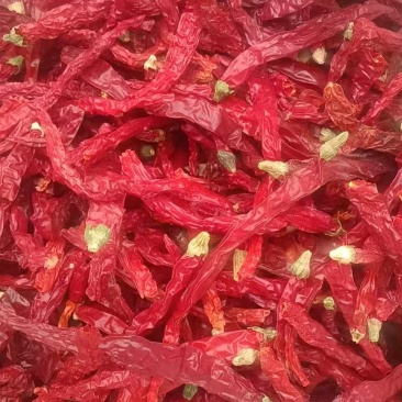 精品干辣椒货源充足量大从优质量保证欢迎咨询