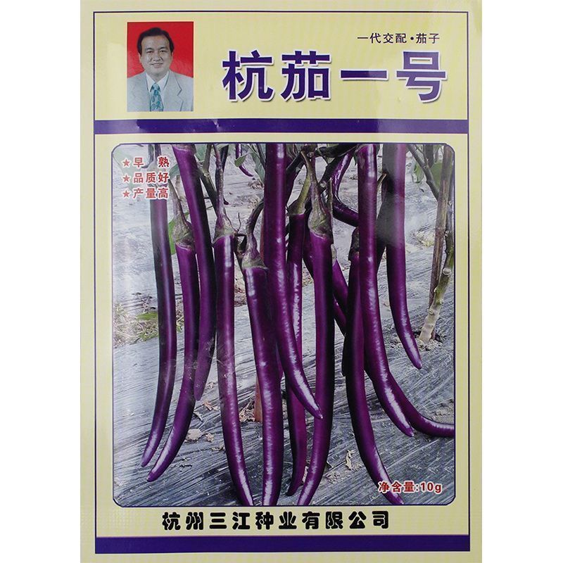 杭茄一号线茄种子早熟耐寒茄子种子高产紫红肉质细嫩果型顺直