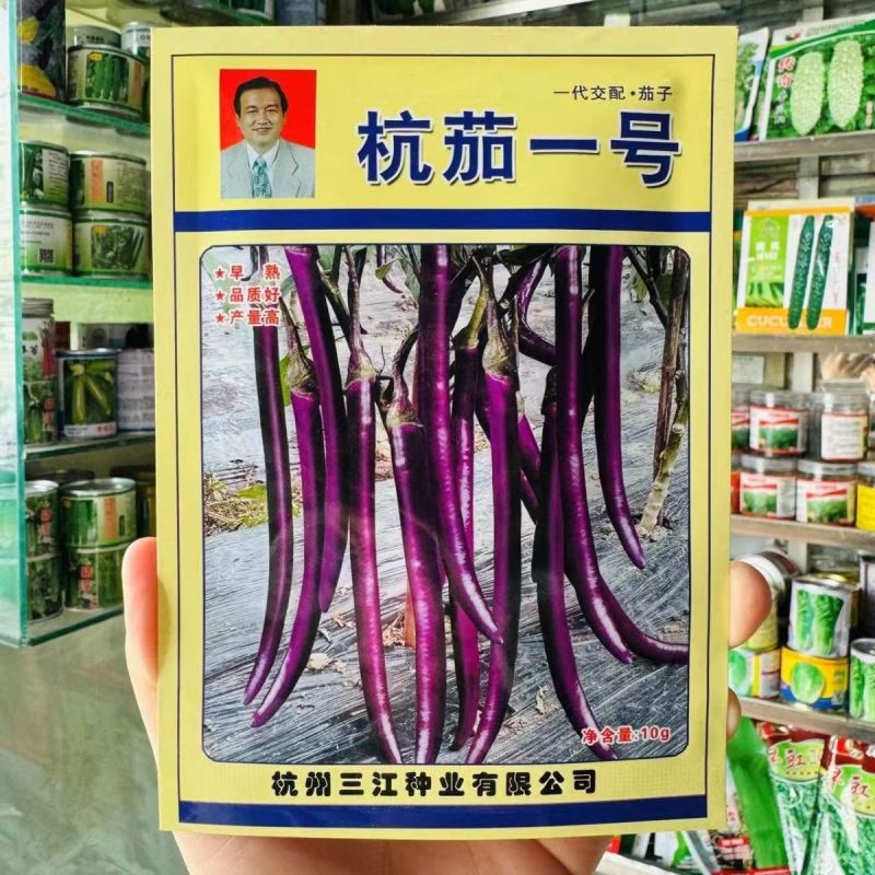 杭茄一号线茄种子早熟耐寒茄子种子高产紫红肉质细嫩果型顺直