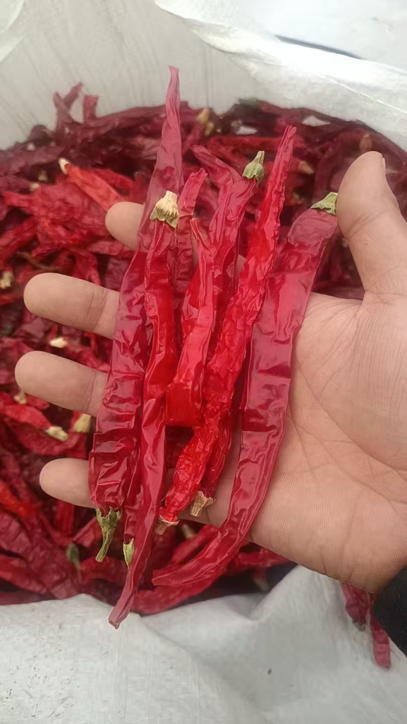 精品干辣椒货源充足量大从优质量保证欢迎咨询