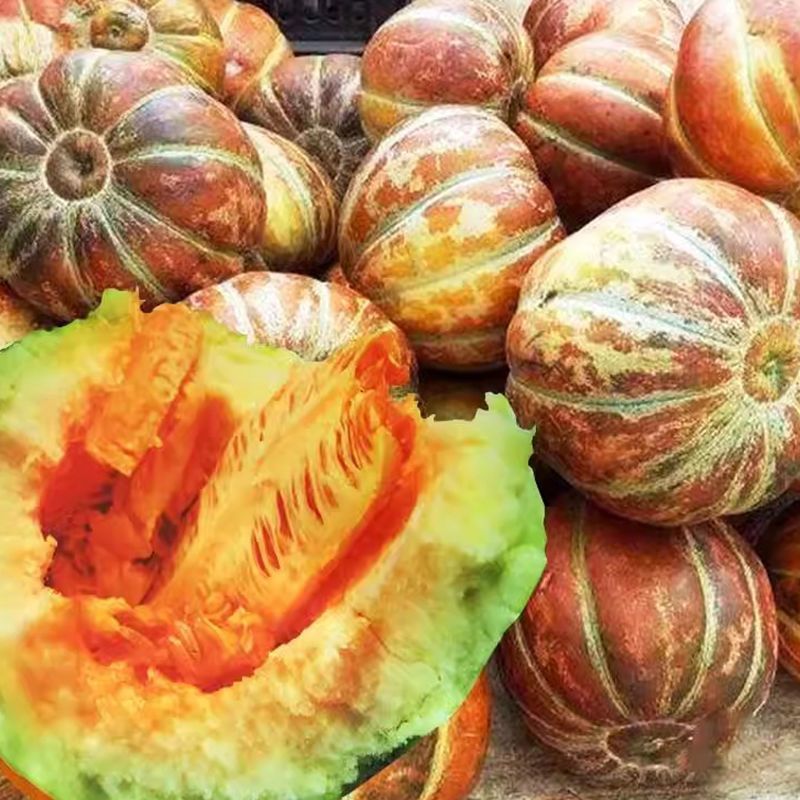 黄皮面瓜种子老品种花皮面瓜四季留种红皮面瓜花皮甜瓜香瓜种