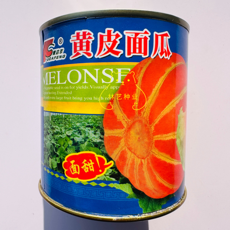 黄皮面瓜种子老品种花皮面瓜四季留种红皮面瓜花皮甜瓜香瓜种