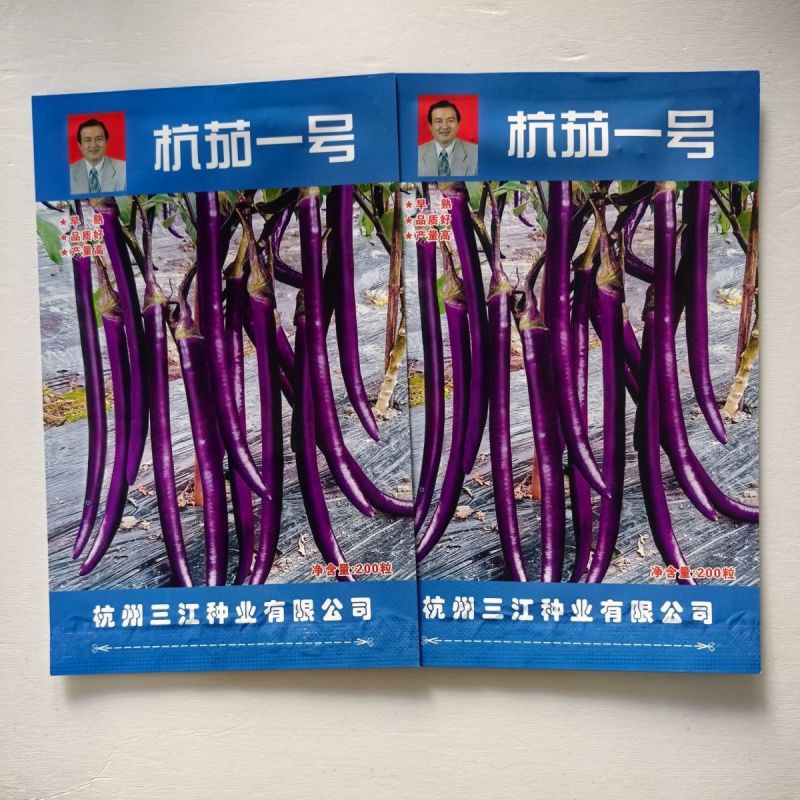 杭茄一号线茄种子早熟耐寒茄子种子高产紫红肉质细嫩果型顺直