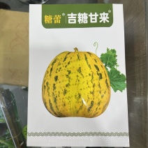 吉糖甘来甜瓜种子八里香花点，甜瓜品种种子