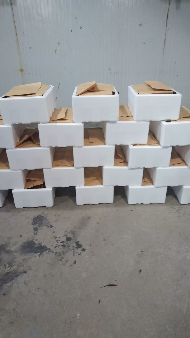 精品小米椒朝天椒，美人椒货源充足，质量保一手货源