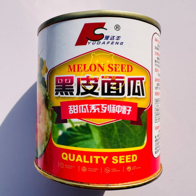 黑皮面瓜种子黑皮甜香瓜大黑皮面瓜种子香瓜春季播种瓜果蔬菜
