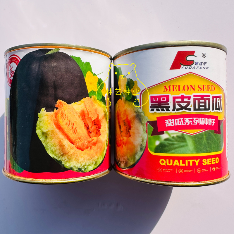 黑皮面瓜种子黑皮甜香瓜大黑皮面瓜种子香瓜春季播种瓜果蔬菜