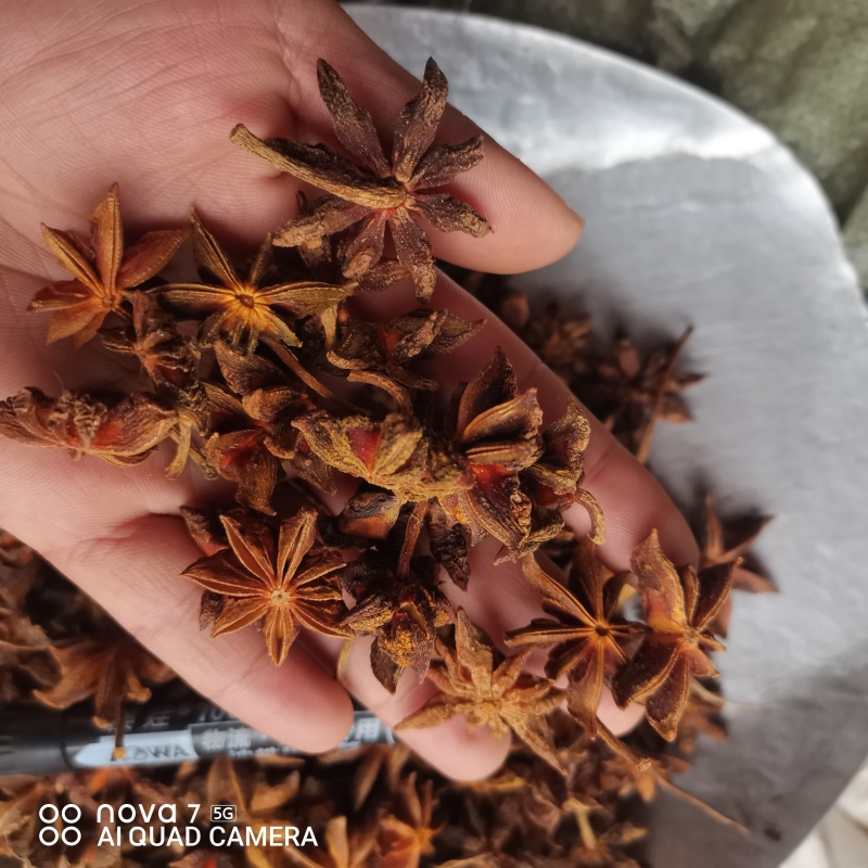 八角春花干货一手货源香料齐全量大从优
