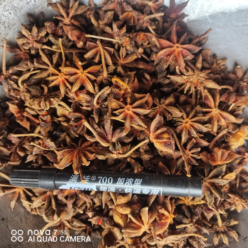 八角春花干货一手货源香料齐全量大从优