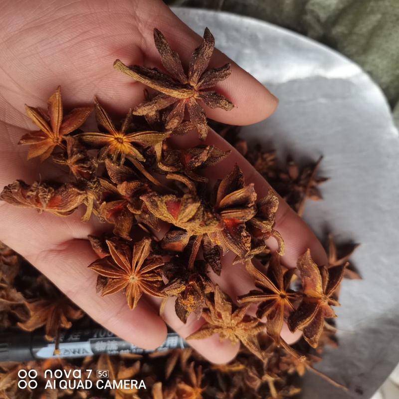 八角春花干货一手货源香料齐全量大从优