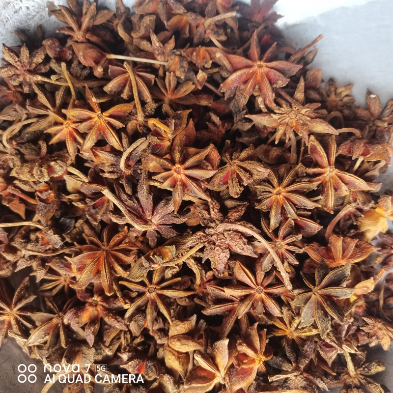 八角春花干货一手货源香料齐全量大从优
