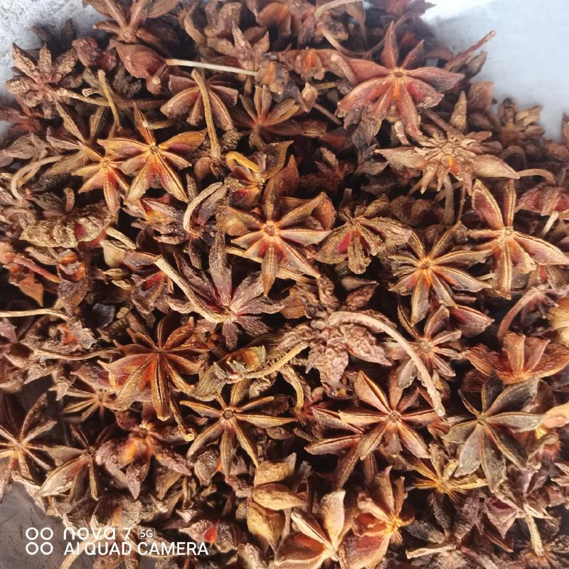 八角春花干货一手货源香料齐全量大从优