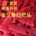 金三角加厚五排硬毛塑料批发家用学校环卫扫帚扫地优质苕