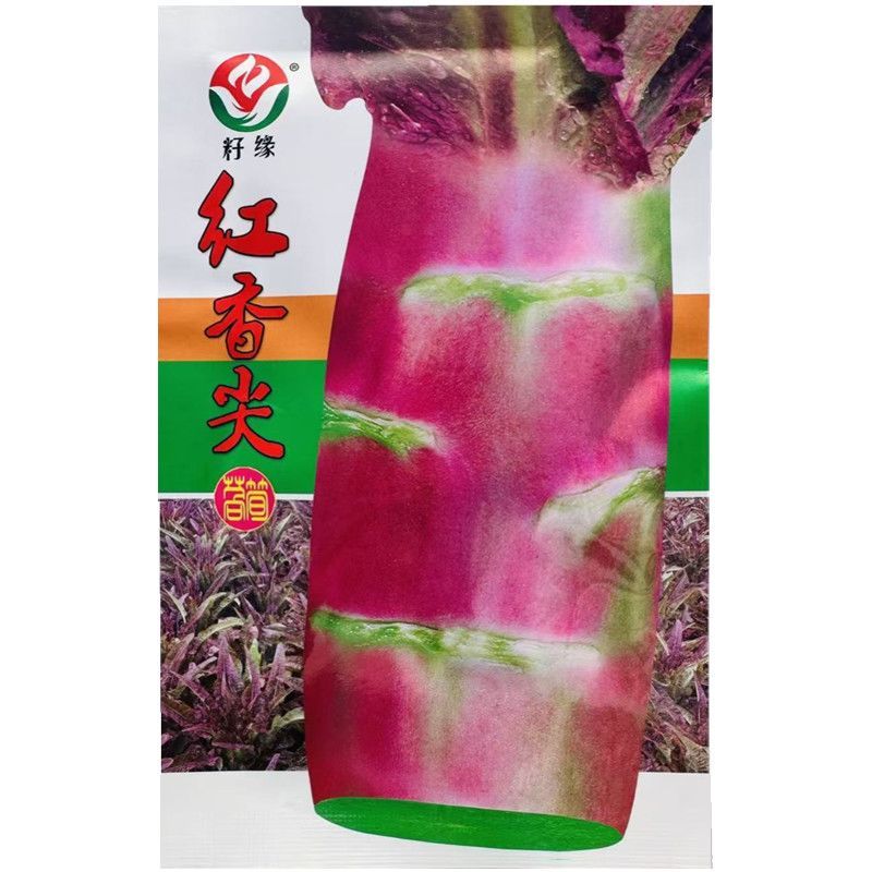 红尖叶莴笋种子杂交品种红皮绿肉耐寒大棒莴笋种子大田基地种