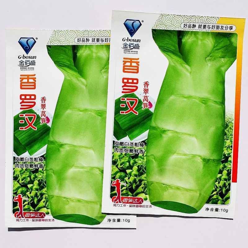香罗汉尖叶香莴笋种子耐高温肉质脆嫩薄皮绿肉大田基地种植
