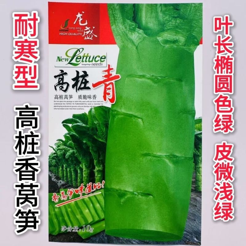 青夏香清香型圆叶青皮莴笋绿肉种子莴苣种籽高产抗寒耐热蔬菜