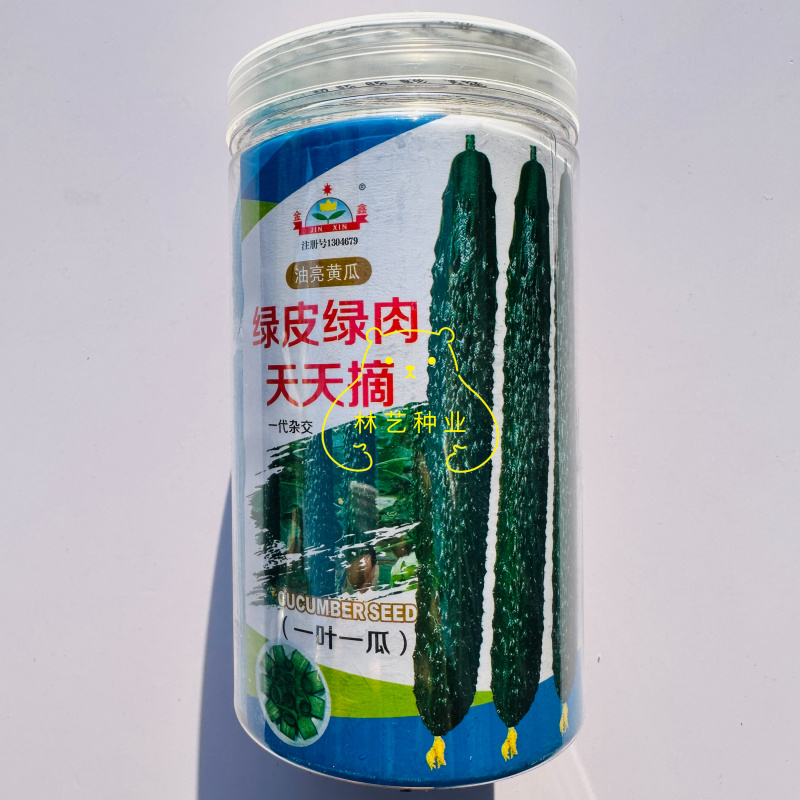 绿皮绿肉天天摘黄瓜种子油亮青瓜绿皮绿肉早熟黄瓜种籽露地专