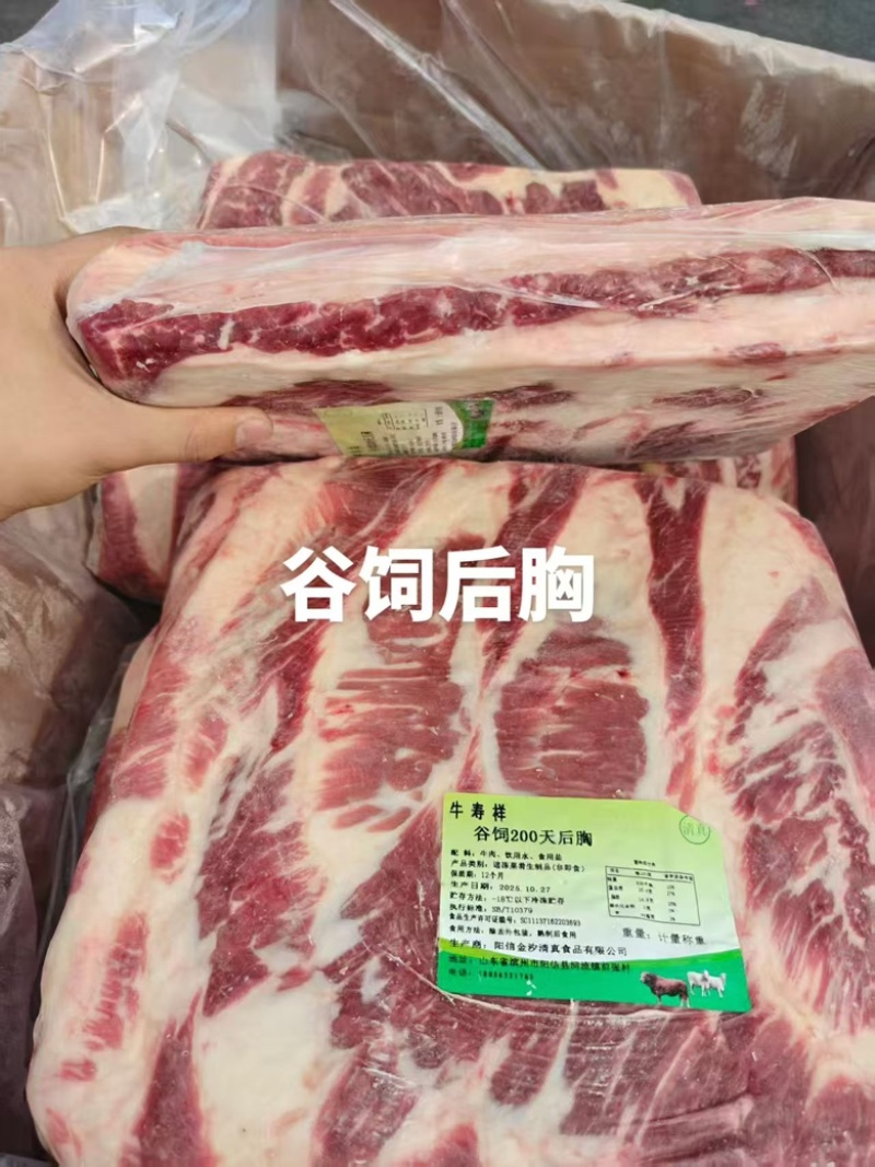 【热卖】谷饲200天后胸肥牛品质保障肉质好欢迎电联
