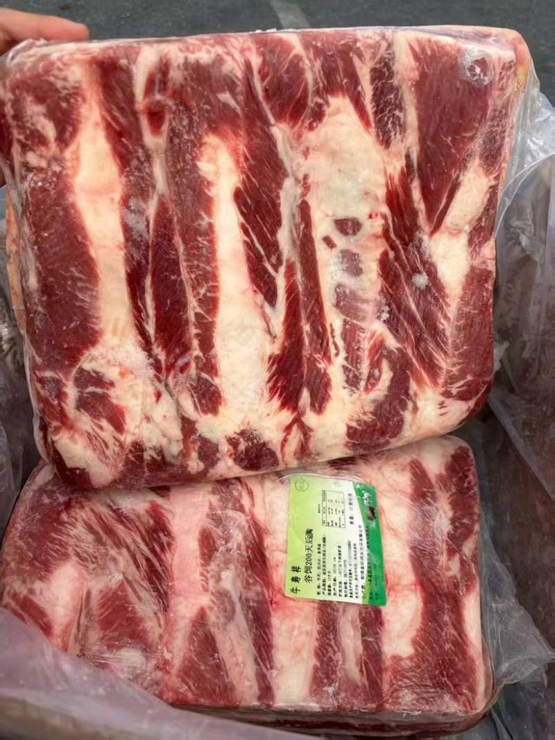 【热卖】谷饲200天后胸肥牛品质保障肉质好欢迎电联