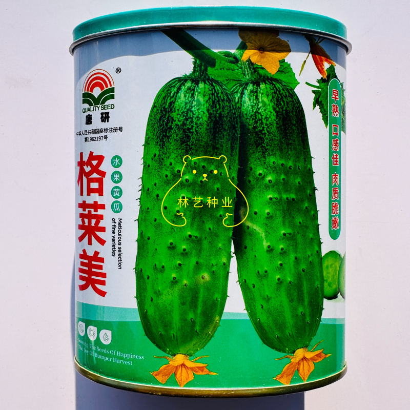 格莱美短棒型水果黄瓜种子中早熟皮薄肉质脆嫩瓜把短刺瘤