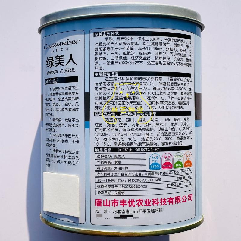 绿美人短棒型水果黄瓜种子口感甜脆大刺瘤坐果力强抗病性好