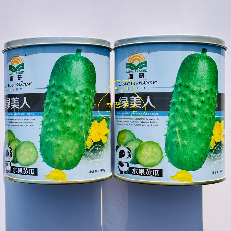 绿美人短棒型水果黄瓜种子口感甜脆大刺瘤坐果力强抗病性好