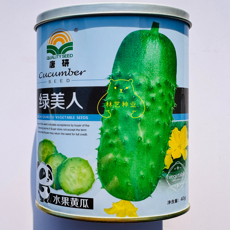 绿美人短棒型水果黄瓜种子口感甜脆大刺瘤坐果力强抗病性好